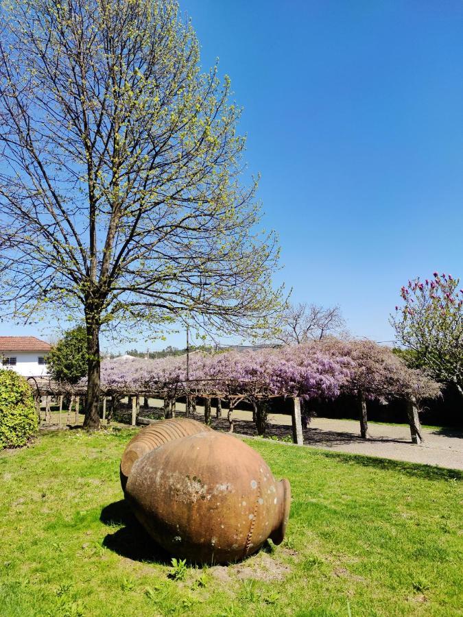 Glicinia Boutique Hotel Freamunde Exterior photo